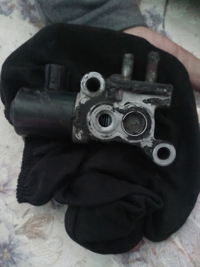 Autopartes Eléctricas Morales en Zamora