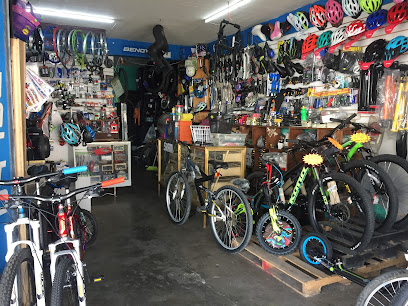 Bici Todo del Centro en Zihuatanejo