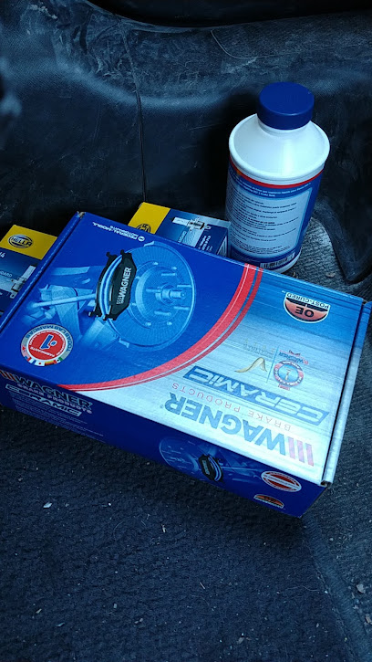 Champion Bujia del Poniente en Santa Catarina