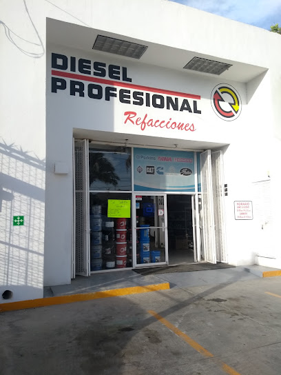 Diesel Profesional de Los Cabos S.A. de C.V. en Cabo San Lucas