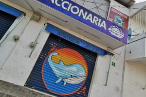 Refaccionaria Ricardo en Chetumal