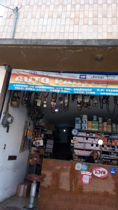 Autopartes Joyan en Miguel Hidalgo