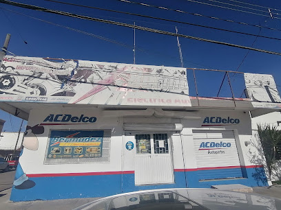 Eléctrica Automotriz Bermudez en Delicias