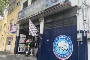 Soportes Búfalo Ahm en Miguel Hidalgo