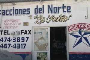 Turbinas y Refaccionaria La Seño en Delicias