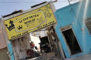Autopartes Reyes Cm en Gómez Palacio