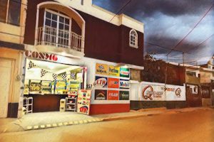 Cosmo Refaccionaria en Irapuato