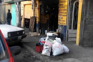 Los Leones en Naucalpan