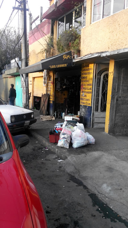 Los Leones en Naucalpan
