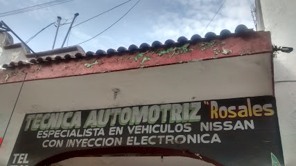 Técnica Automotríz Rosales en Colima