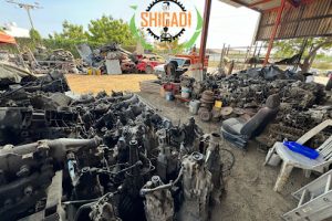 Yonke Shigadi (Salagua) en Manzanillo