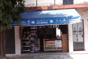 Autopartes Eléctricas Raga en Puerto Vallarta