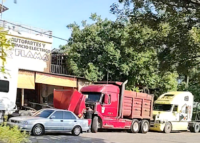Autopartes y Servicio Eléctrico Flama (Morelos 30) en Lázaro Cárdenas
