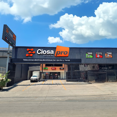 Ciosa Autopartes Pro - Fuelle en Guadalajara