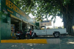 Recosa en Guadalajara