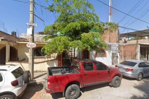 Suspensiones Lobo en Puerto Vallarta
