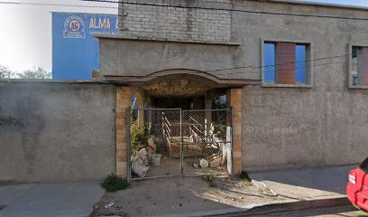 Ag Alma Automotriz S.A. de C.V. en Tehuacán