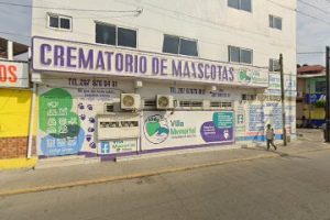 Autopartes en San Juan Bautista Tuxtepec
