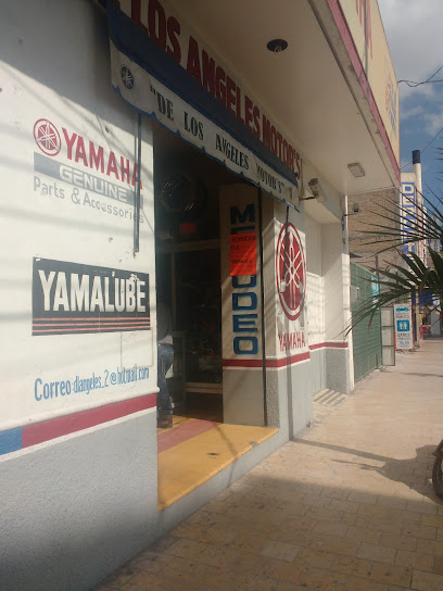 De Los Ángeles Motors en Tehuacán