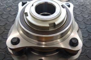 Govi San Nicolás en San Nicolás de los Garza