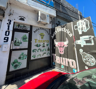 Refaccionaria Eléctrica Automotriz Tauro en Guadalupe