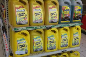 Rolcar en Santa Catarina