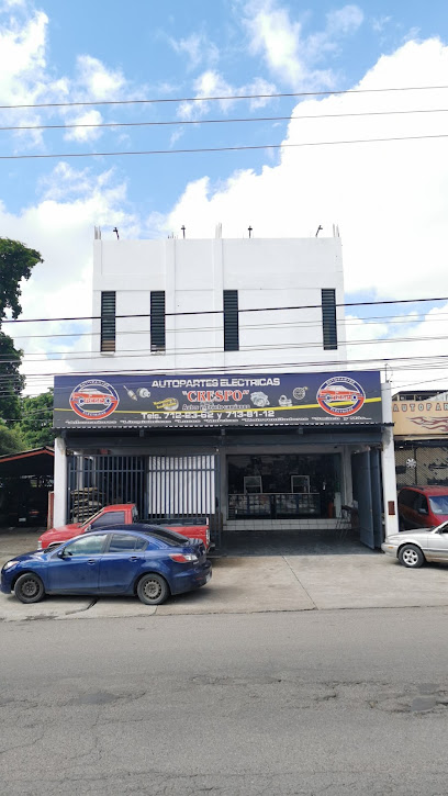 Auto Partes Eléctricas Crespo en Culiacán