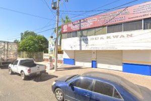 Refaccionaria El Aleman Socorro Alicia Encinas Marquez en Guasave