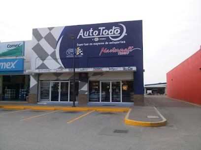 Auto Todo Mexicana Tampico en Tampico