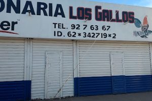 Refaccionaria Los Gallos en Guadalupe