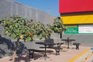 Laboratorio Diesel en Manzanillo