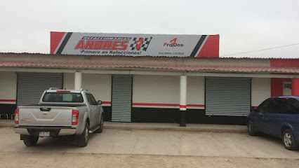 Refaccionarias Andrés Pro One en Acuña