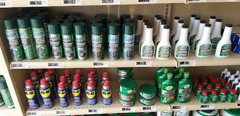 Rolcar en Manzanillo