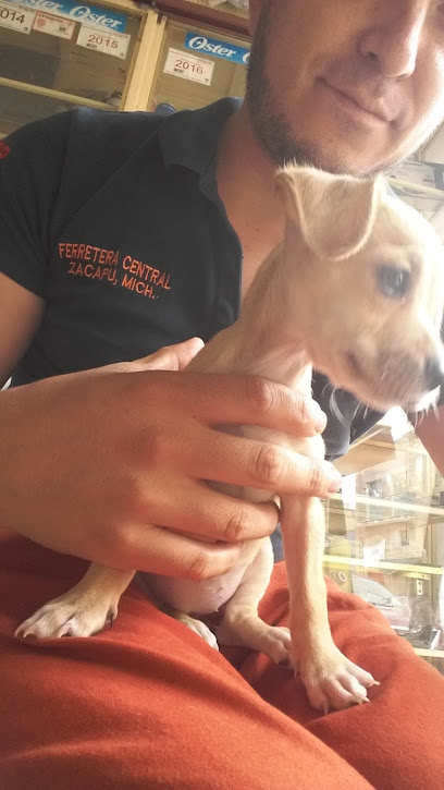 Electrodomésticos Ruiz en Acámbaro