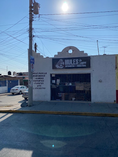 Hules de Lagos en Lagos de Moreno