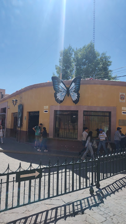 Proveedora de Refacciones en Dolores Hidalgo