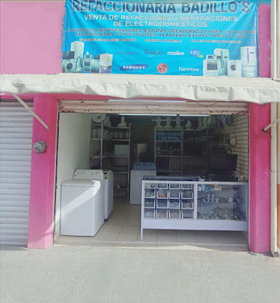 Refacciones Badillo's en Dolores Hidalgo