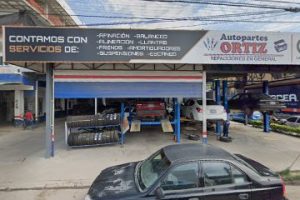 Servicio Ortiz en Puerto Vallarta