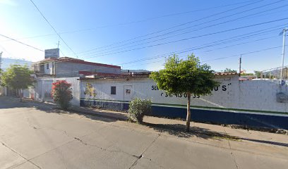 Servicios Diesel Automotriz Gustavo's en Ciudad Guzmán