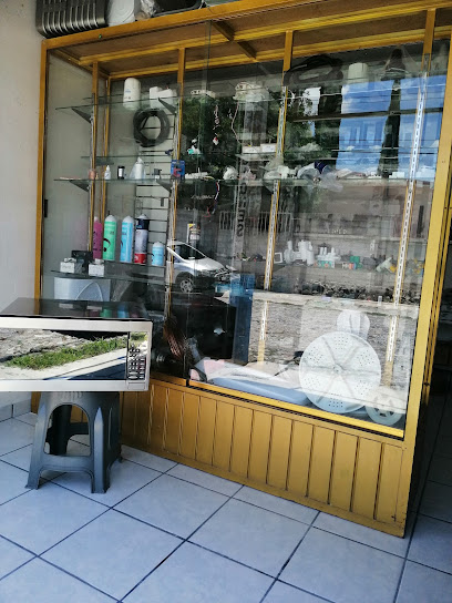 Taller de Refrigeración Unidad del Valle en Ixmiquilpan