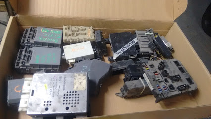 Yonke Rabbit en Apaseo el Grande