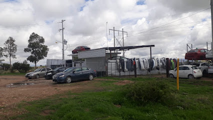 Yonke Toro en Dolores Hidalgo