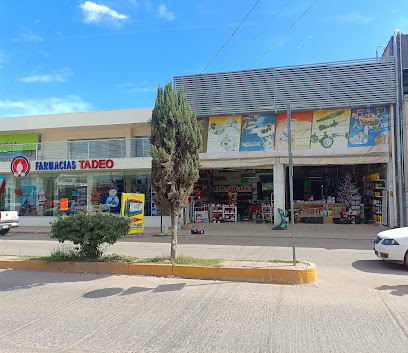 Autopartes Rodríguez - Baterías en Rioverde