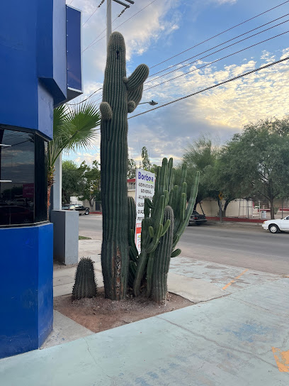 Borboa Motor Servicio y Refacciones en Caborca