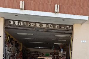 Cadáver Refacciones en Fresnillo