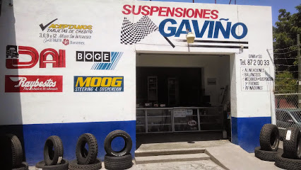 Suspensiones Gaviño en Rioverde