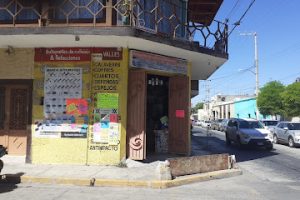 Autopartes Valles en Tala