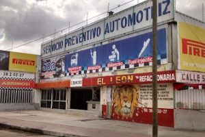 El León en Ciudad del Carmen