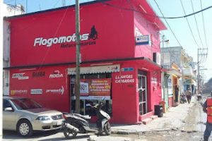 Flogomotos en Ciudad del Carmen