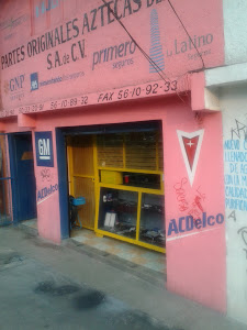 Partes Originales Aztecas del Sur en Coyoacán